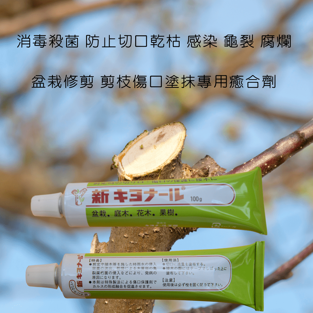 日本新キヨナール)日本新崎友植物傷口保護癒合劑100g – 以西結國際有限公司